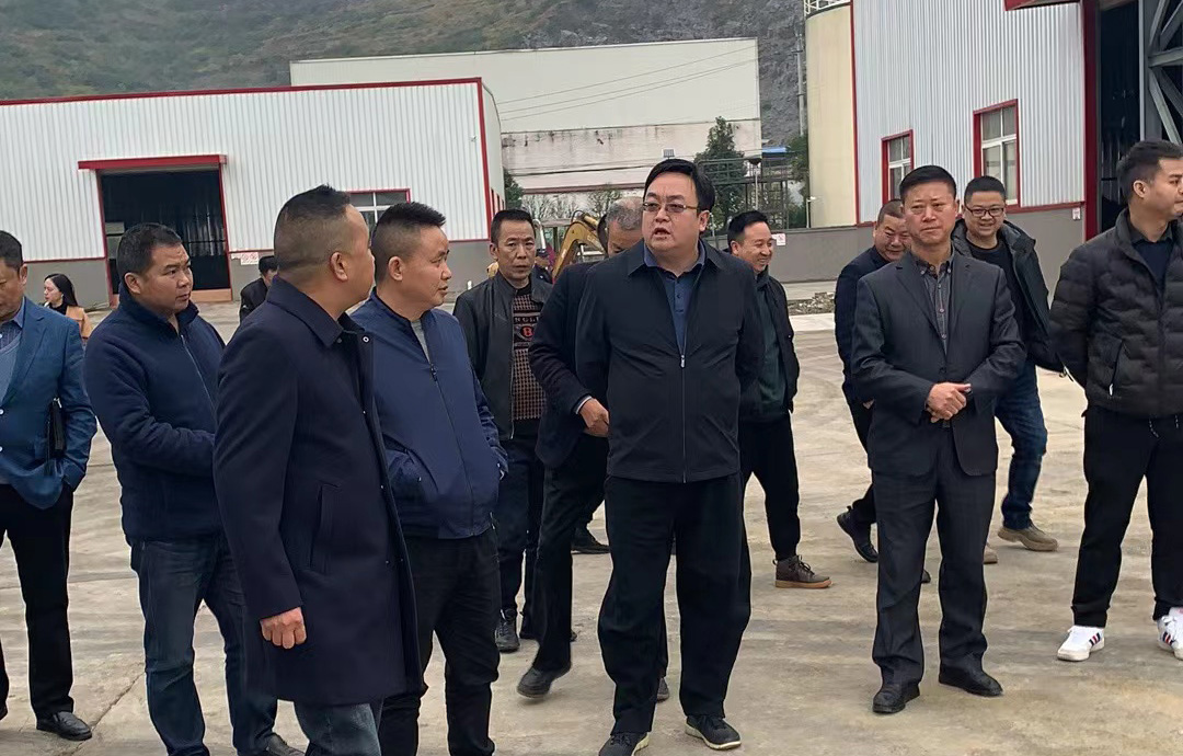 我市领导来我公司调研的照片